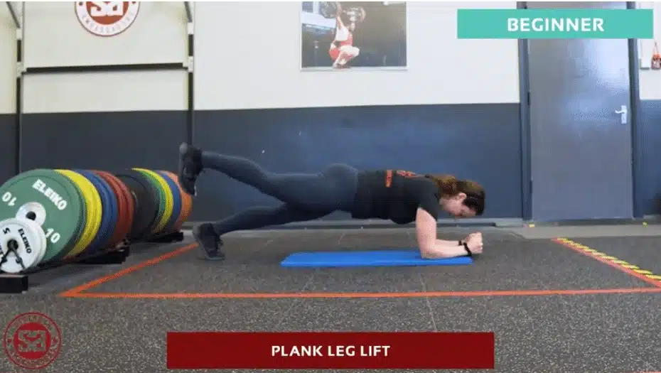 Plank Leg Lift beginner exercise demonstration